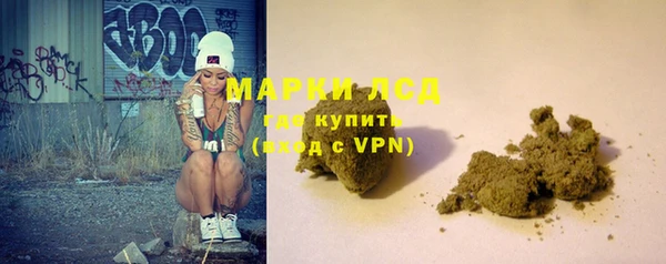 шишки Арсеньев
