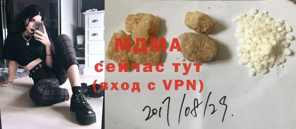 шишки Арсеньев