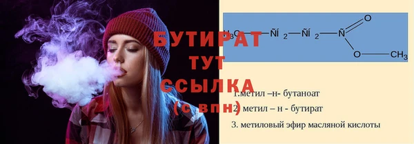 шишки Арсеньев