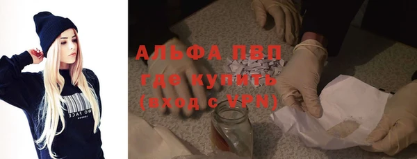 шишки Арсеньев