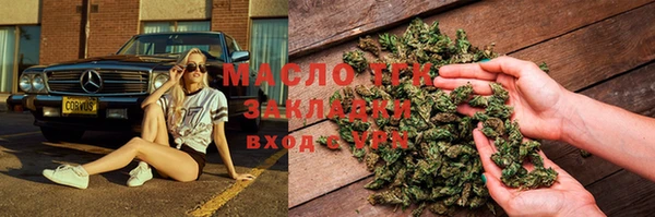 шишки Арсеньев
