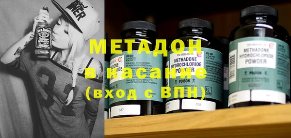 шишки Арсеньев