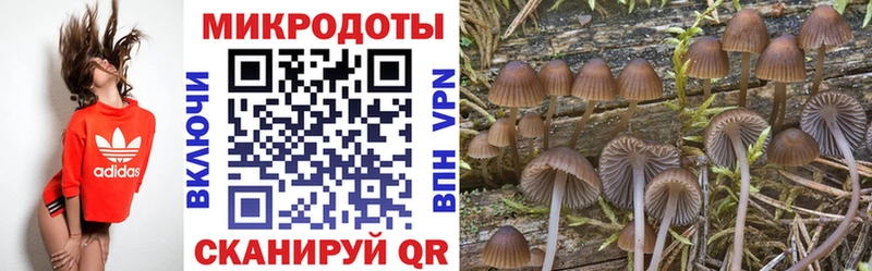 OMG вход  Старица  Псилоцибиновые грибы MAGIC MUSHROOMS 
